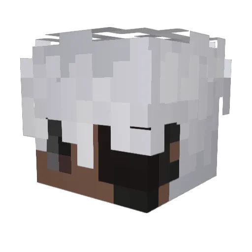 iSurve Minecraft avatar head, 3D render