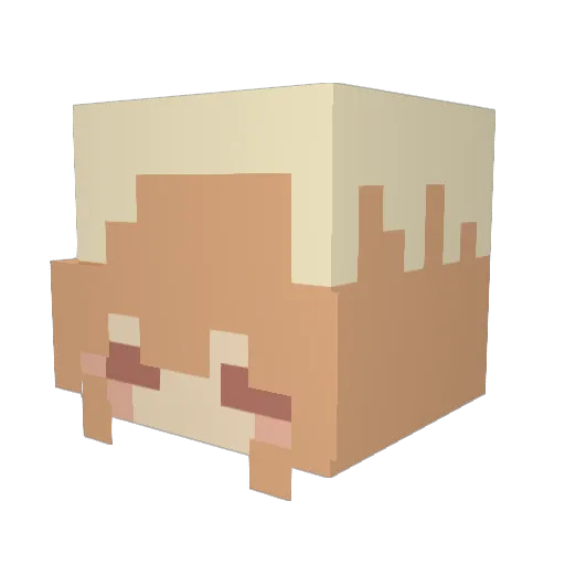 iSurvivedCorona Minecraft avatar head, 3D render