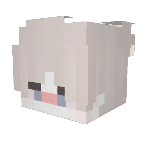 iSwonex Minecraft avatar head, 3D render