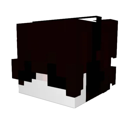 iSwxs Minecraft avatar head, 3D render