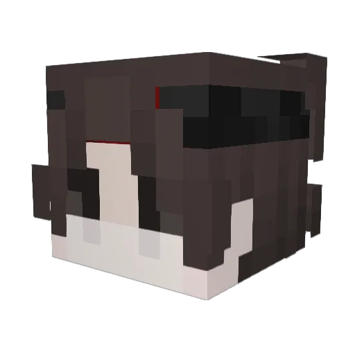 iT0ny_ Minecraft avatar head, 3D render