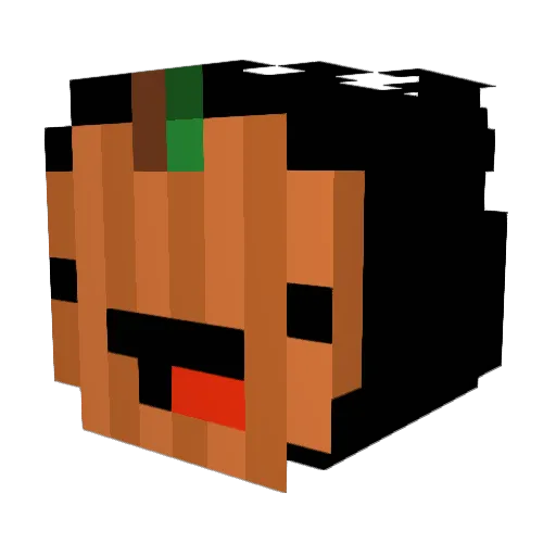 iTMeow Minecraft avatar head, 3D render