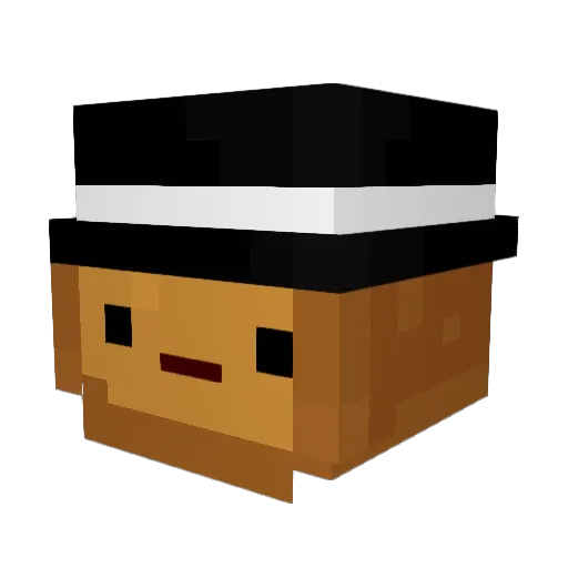 iTO4ST_ Minecraft avatar head, 3D render