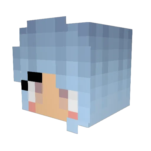 iTacoLot Minecraft avatar head, 3D render