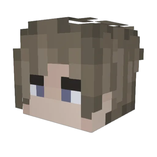 iTeegs Minecraft avatar head, 3D render