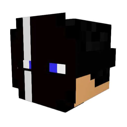 iTeiK Minecraft avatar head, 3D render