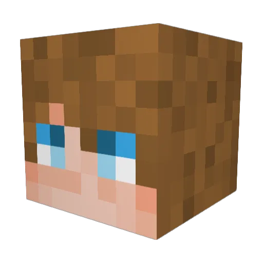 iTerex Minecraft avatar head, 3D render