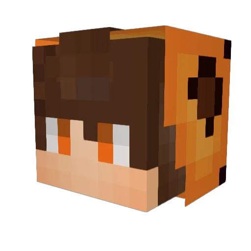 iTigrao Minecraft avatar head, 3D render