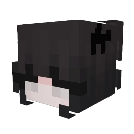 iTinCan Minecraft avatar head, 3D render