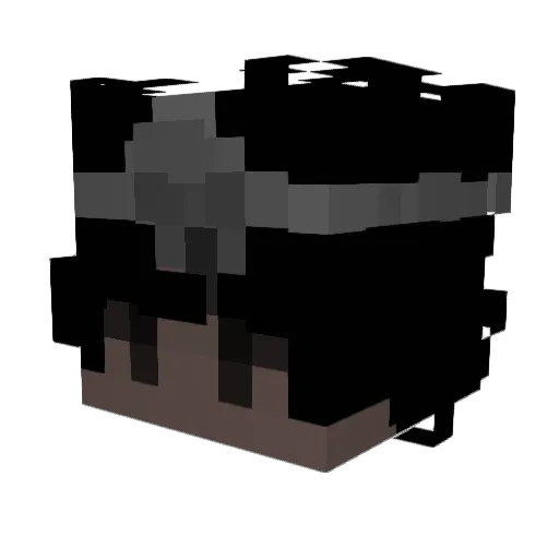 iTroyYT Minecraft avatar head, 3D render