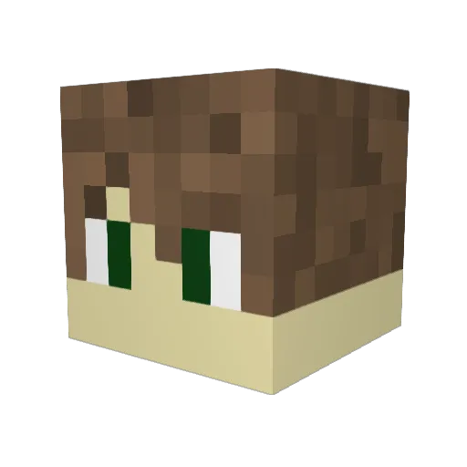 iTry_ Minecraft avatar head, 3D render