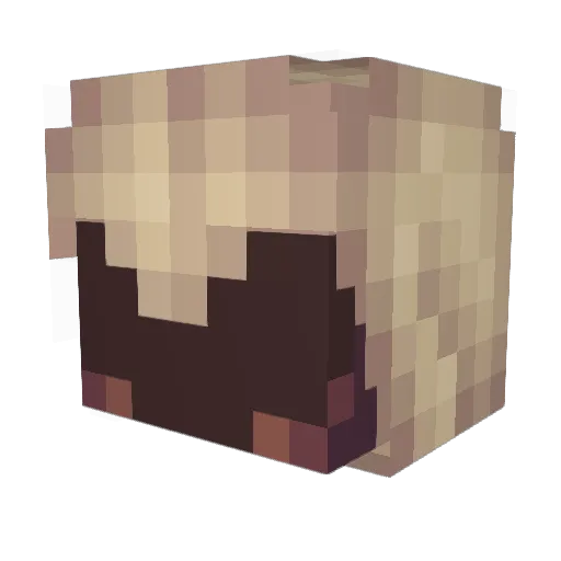 iTs_Ya_BoY Minecraft avatar head, 3D render