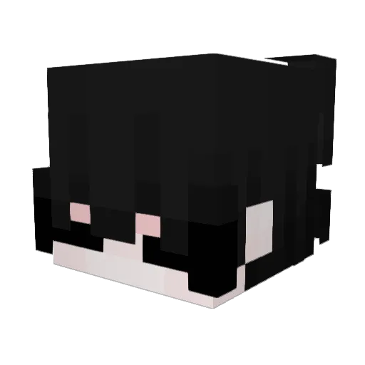 iTsukiNoir Minecraft avatar head, 3D render