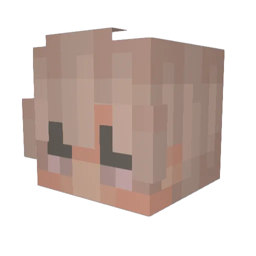 iTzFesHe_ Minecraft avatar head, 3D render
