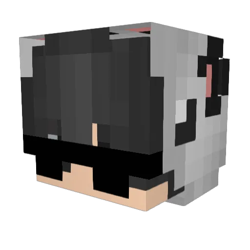iTzRayderAlex Minecraft avatar head, 3D render
