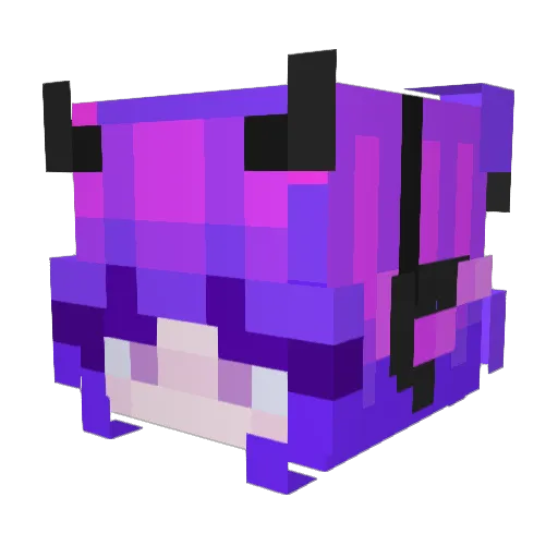 iTzSh0wTim33 Minecraft avatar head, 3D render