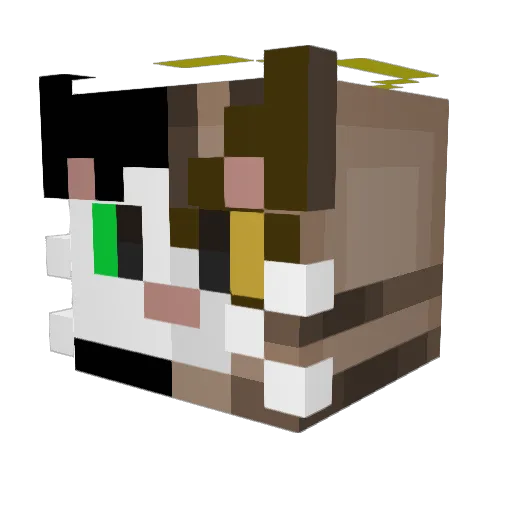 iTzShiet Minecraft avatar head, 3D render