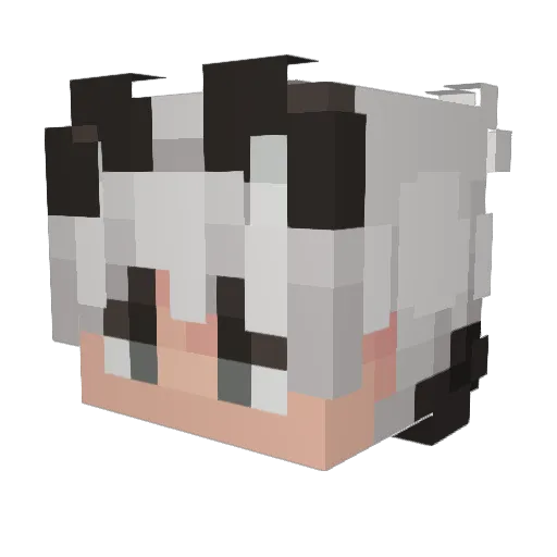 iTzzKai Minecraft avatar head, 3D render
