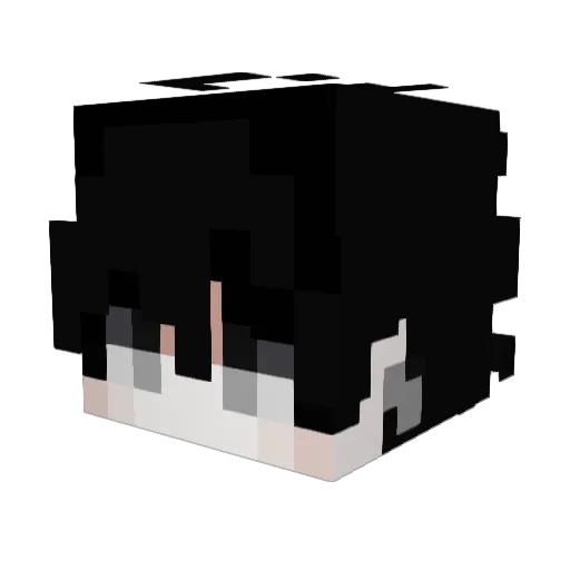 iVisxs Minecraft avatar head, 3D render