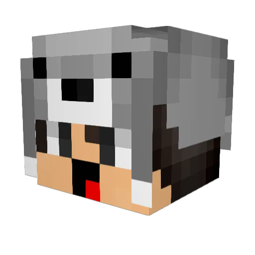 iWaffle07 Minecraft avatar head, 3D render