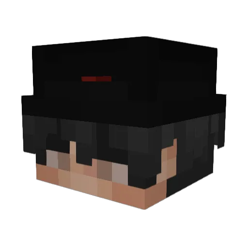 iWagnner_ Minecraft avatar head, 3D render