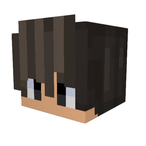 iWaitix Minecraft avatar head, 3D render