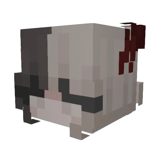 iWasamistake7 Minecraft avatar head, 3D render
