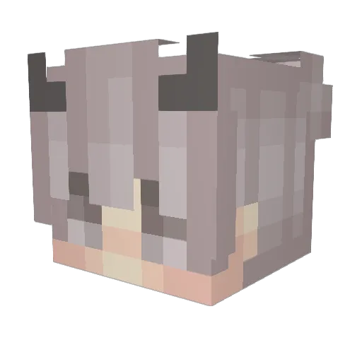 iWastyz Minecraft avatar head, 3D render