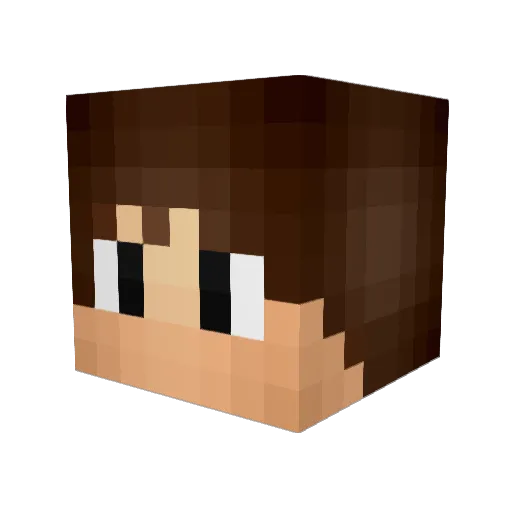 iWesleyp Minecraft avatar head, 3D render