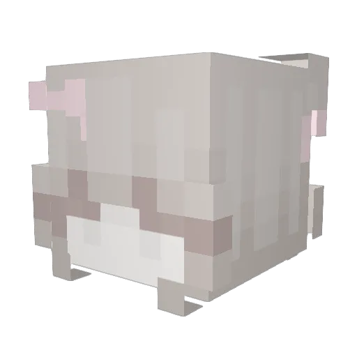 iWoorie Minecraft avatar head, 3D render