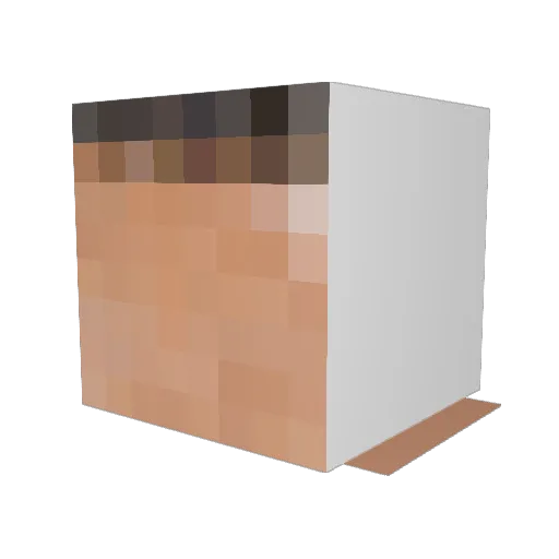 iWreck Minecraft avatar head, 3D render