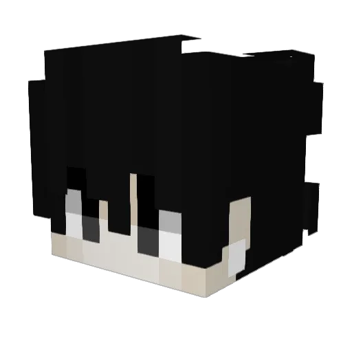 iYoLLa Minecraft avatar head, 3D render