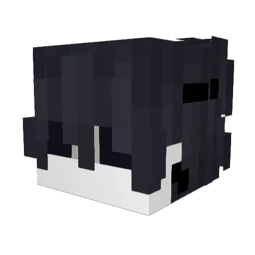 iYouTheFurro Minecraft avatar head, 3D render