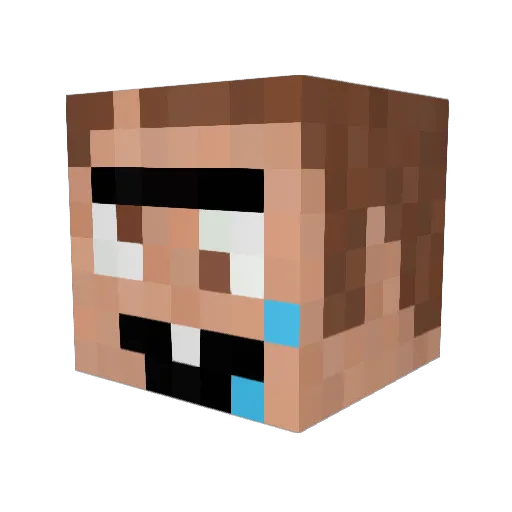 iZebra Minecraft avatar head, 3D render