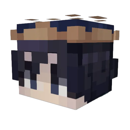 iZeeSteven Minecraft avatar head, 3D render