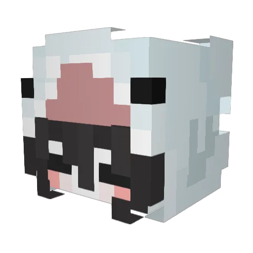 iZhankZ Minecraft avatar head, 3D render