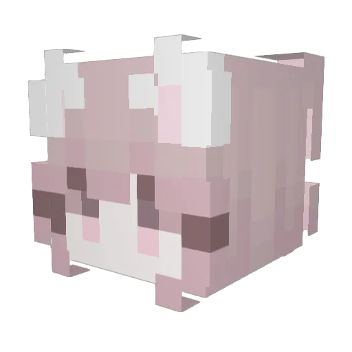 iZinnamoon Minecraft avatar head, 3D render