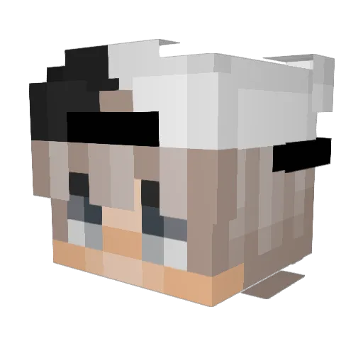 i_9 Minecraft avatar head, 3D render