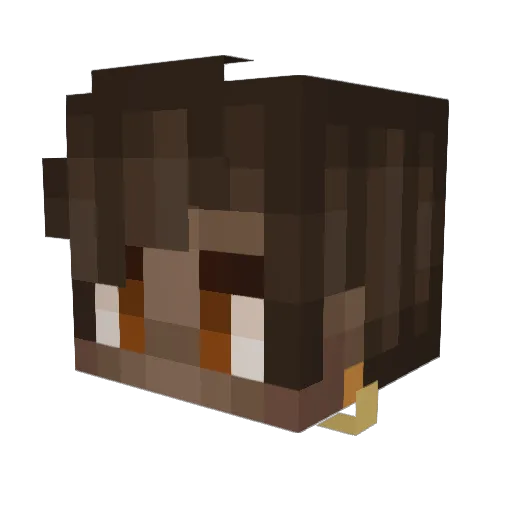 i_Nitsuj Minecraft avatar head, 3D render