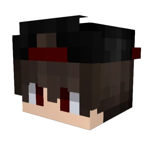 i_Rio Minecraft avatar head, 3D render