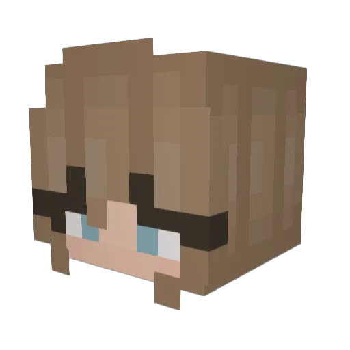 i_WZ_LR Minecraft avatar head, 3D render