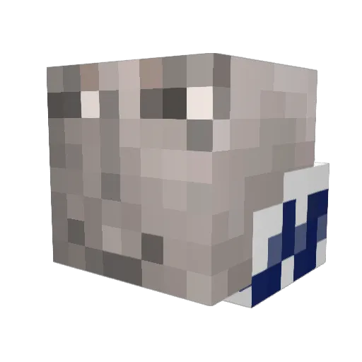 i_amEli Minecraft avatar head, 3D render