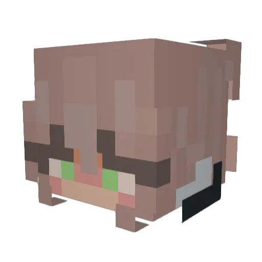 i_am_person14 Minecraft avatar head, 3D render