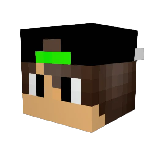 i_bin_toll Minecraft avatar head, 3D render