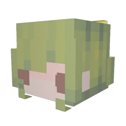 i_hate_rice Minecraft avatar head, 3D render