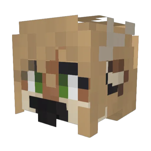 i_hate_stairs Minecraft avatar head, 3D render