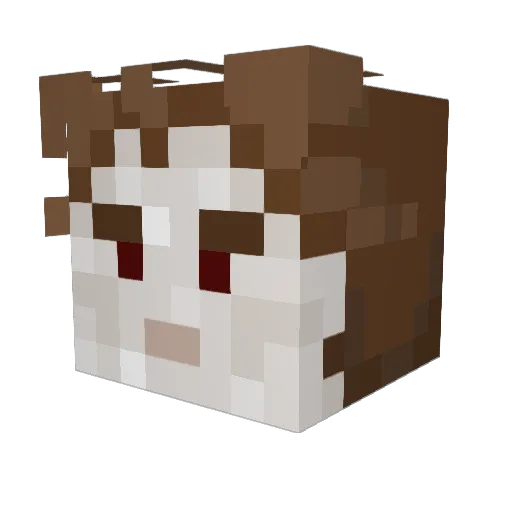 i_hit_things Minecraft avatar head, 3D render