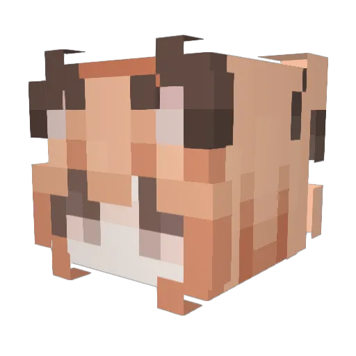 i_is_BOB69 Minecraft avatar head, 3D render
