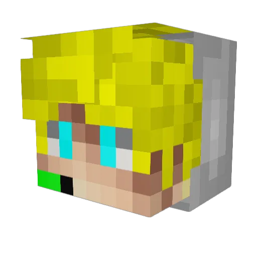 i_like_turtles1 Minecraft avatar head, 3D render