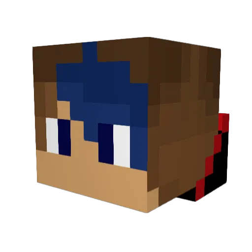 i_swim247 Minecraft avatar head, 3D render